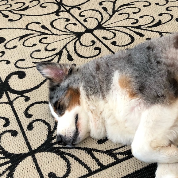 Meet your Posher, Andrea - Picture 1 of 1